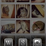 Nyanstagram3