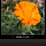 フェリシモ　My500色カメラ3