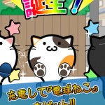 電球ねこ1