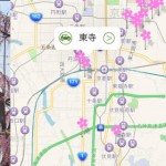 京都の桜名所4