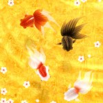 Wa Kingyo - 和金魚 -1