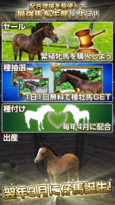 ダービーインパクト4